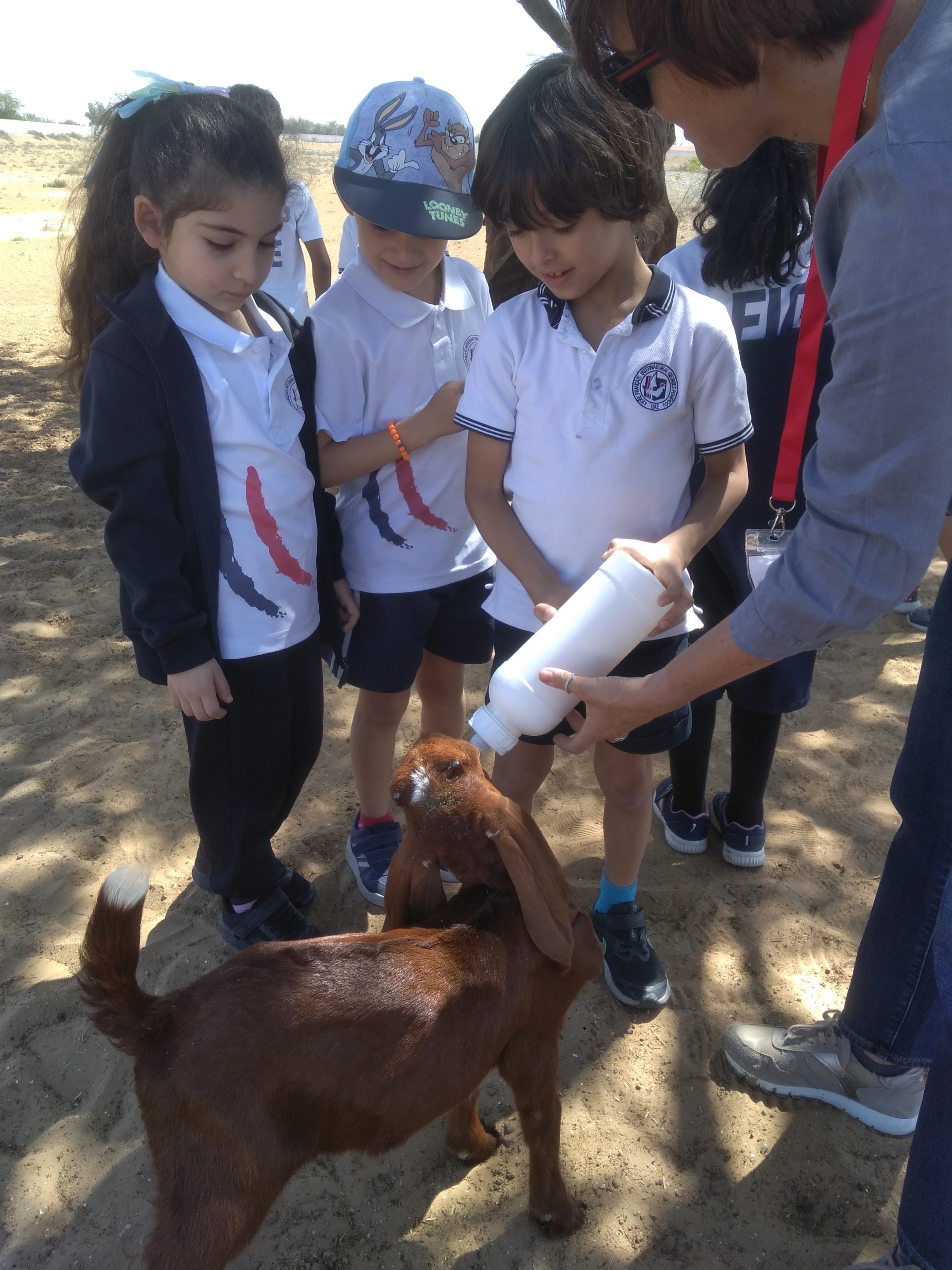 A day at the farm